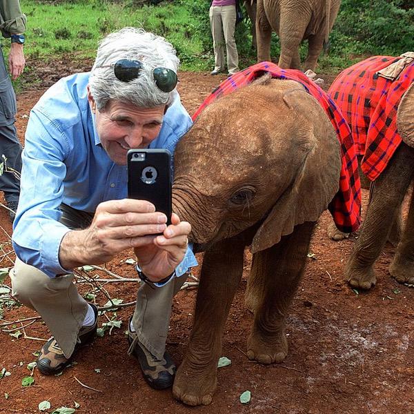 MrKipkalya's tweet photo. That awkward moment when you take a selfie with a baby elephant then you later walk past the mum's tusks #Muchina http://t.co/rdvX2gASAP
