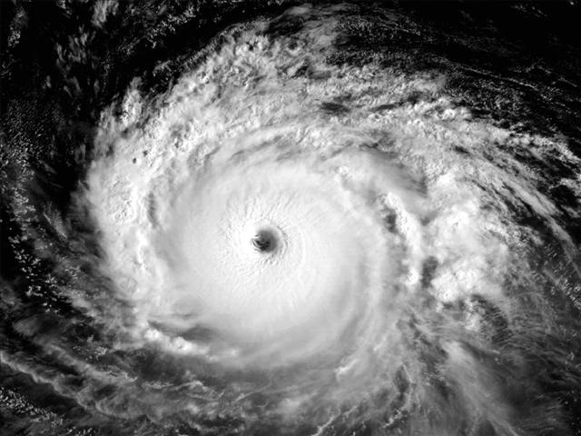 produceralex's tweet image. Look for updates fm @SStevensWCIV she follows hurricane experts in SC today. abcnews4.com/story/28989493… #sctweets