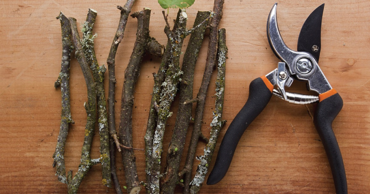 Gerald Franson (GeraldFranson) Twitter