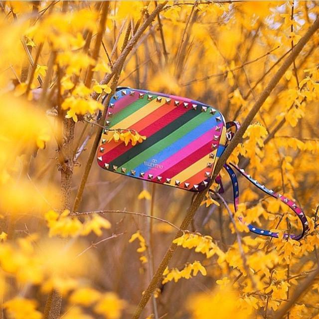 MaisonValentino's tweet image. If only bags really did grow on trees. Image via @eliteessentials #1973collection ift.tt/1AErFGZ