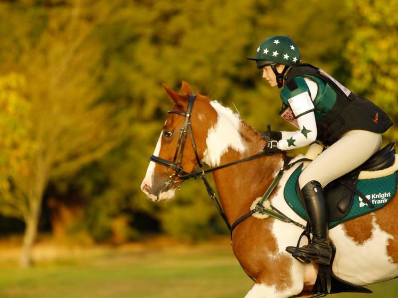 HopkinsClive's tweet photo. This week visit @knightfrank &amp; @TBSBuyingAgents on stand 99 @bhorsetrials. #MMBHT @MitsubishiUK #eventing #equestrian http://t.co/h1MEiopczE