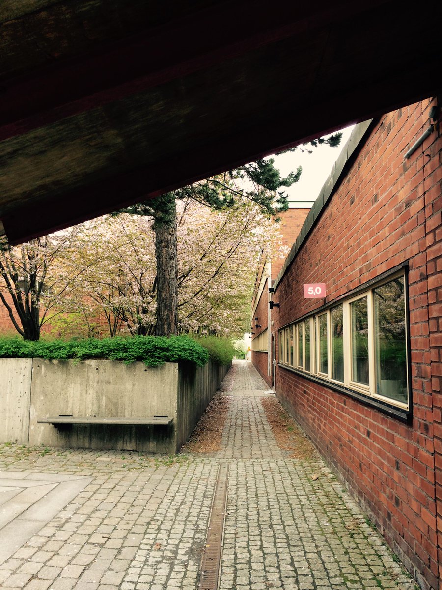 greenalbano's tweet photo. Where does this path lead to? The built environment can stimulate curiosity and exploration. #walkinginterview #KTH http://t.co/kxj2NaDknP