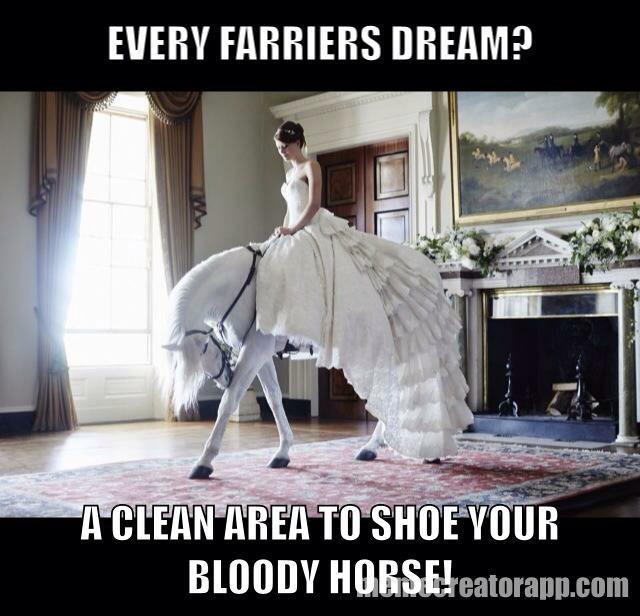 BTBensonFarrier's tweet photo. http://t.co/C1eJVL7qcj