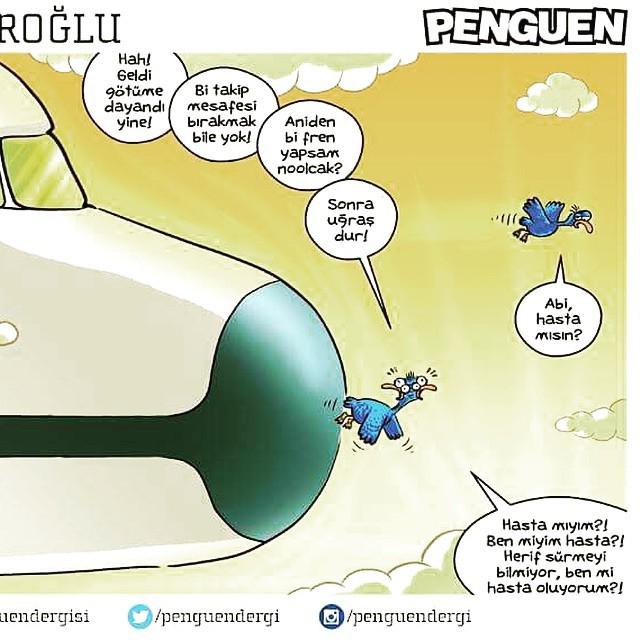 DeltaBravo33's tweet photo. Instagram : by byz320 - #aviation #aviators #airline #bird #birdstrike #funny #smile #lol #picoftheday #pilotslife … http://t.co/rIgfBKDOsJ