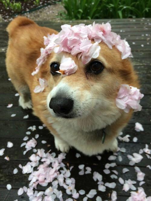 earthlysam's tweet photo. if you are sad http://t.co/BNTF0lr63w