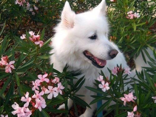 earthlysam's tweet photo. if you are sad http://t.co/BNTF0lr63w