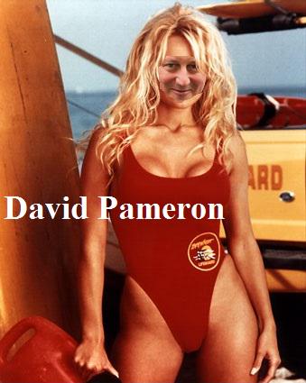 Davidcanrun's tweet image. David Pameron #GE2015 #DavidCameron #PamelaAnderson #Baywatch #BeachBodyReady