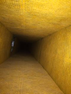 klean21 tweet picture