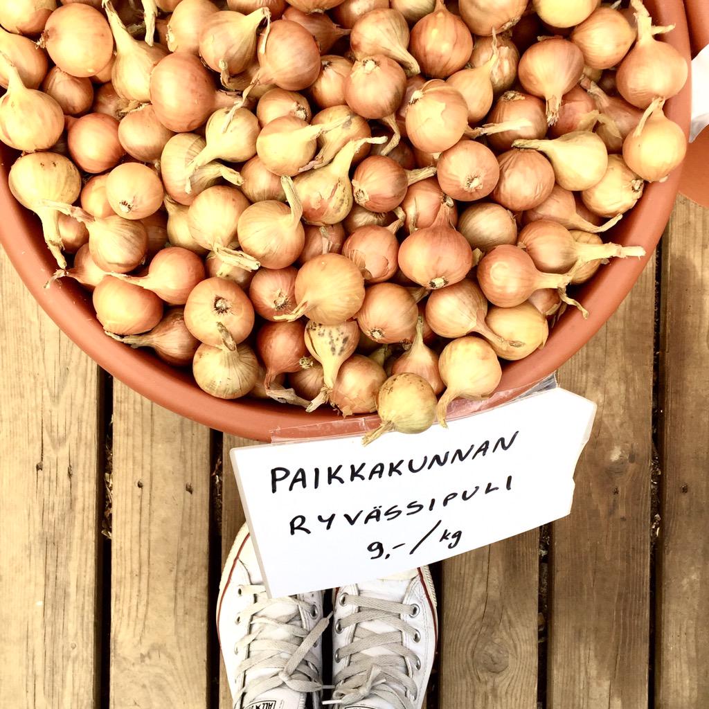 Löysin ryvässipuleita istutettavaksi. Oo onnea! #ryvässipuli #perinnelajike #keittiöpuutarha