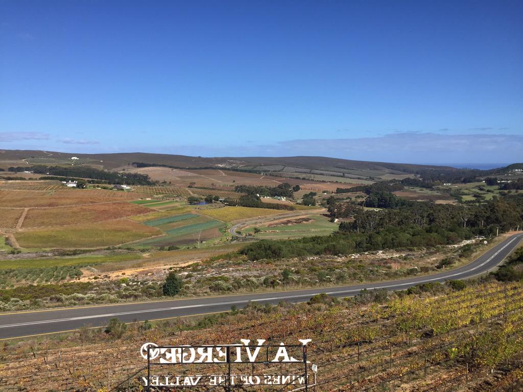 hermanuswine's tweet photo. Hemel-en-Aarde views today - sunshine and more sunshine! #viewofthevalley #finewine #Hermanus http://t.co/y5xjR5u0ET