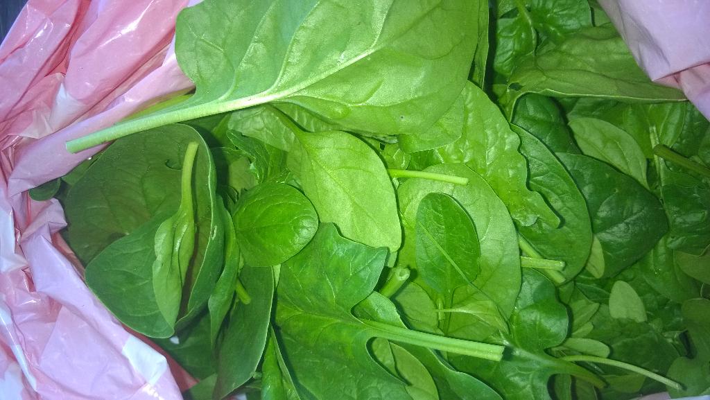 moestuintweets tweet picture