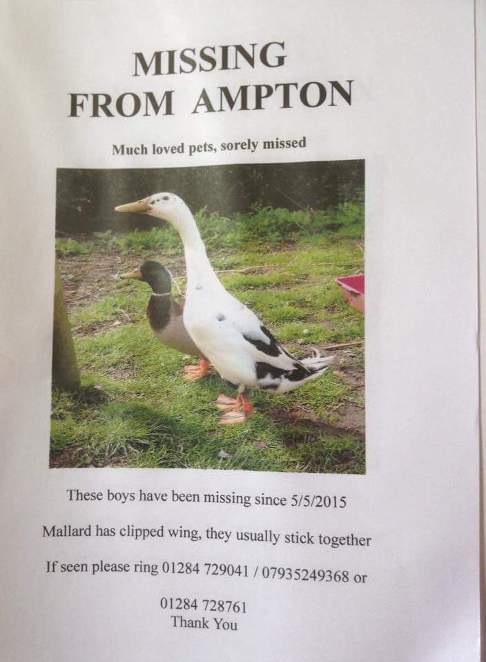 Please help a friend of the club :-)