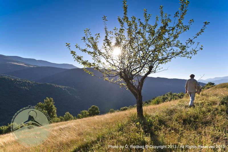 Camí dels Bons Homes tweet media