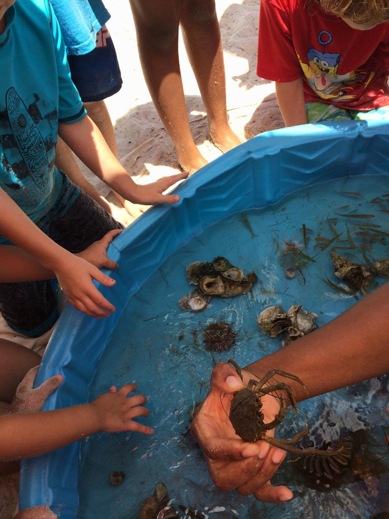 kitnerl's tweet photo. Wonderful field trip. Beautiful weather. Beautiful beach. #discoverycenter  #cherrystreet http://t.co/8vgJ5RKVrh