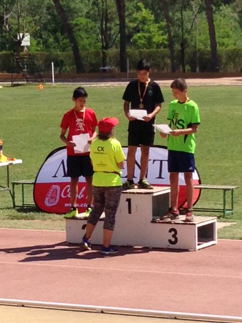 Institut Serra de Noet tweet media