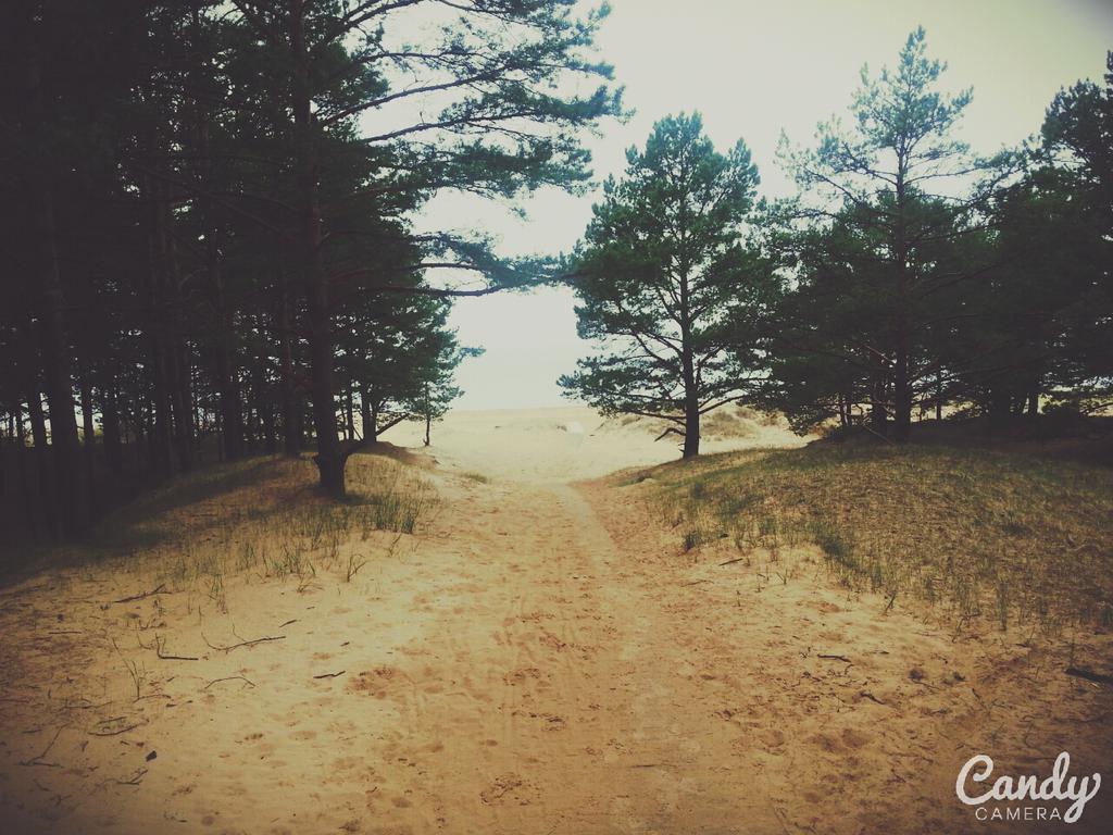 Remixs99's tweet photo. Ceļš uz kalngales jurmalu. http://t.co/jYpR7uAYBe