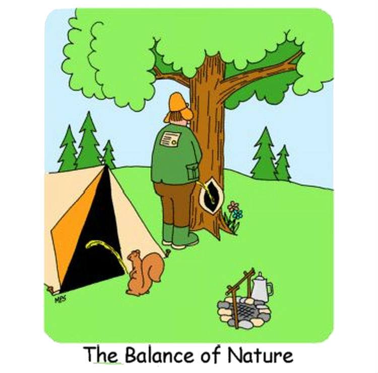 #picoftheday Do you believe in #karma ?
Get all your bathroom #camping essentials from us: bit.ly/Camp-Bathroom