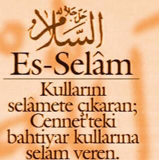 Müjdat Güler (@muejdatgueler) on Twitter photo 