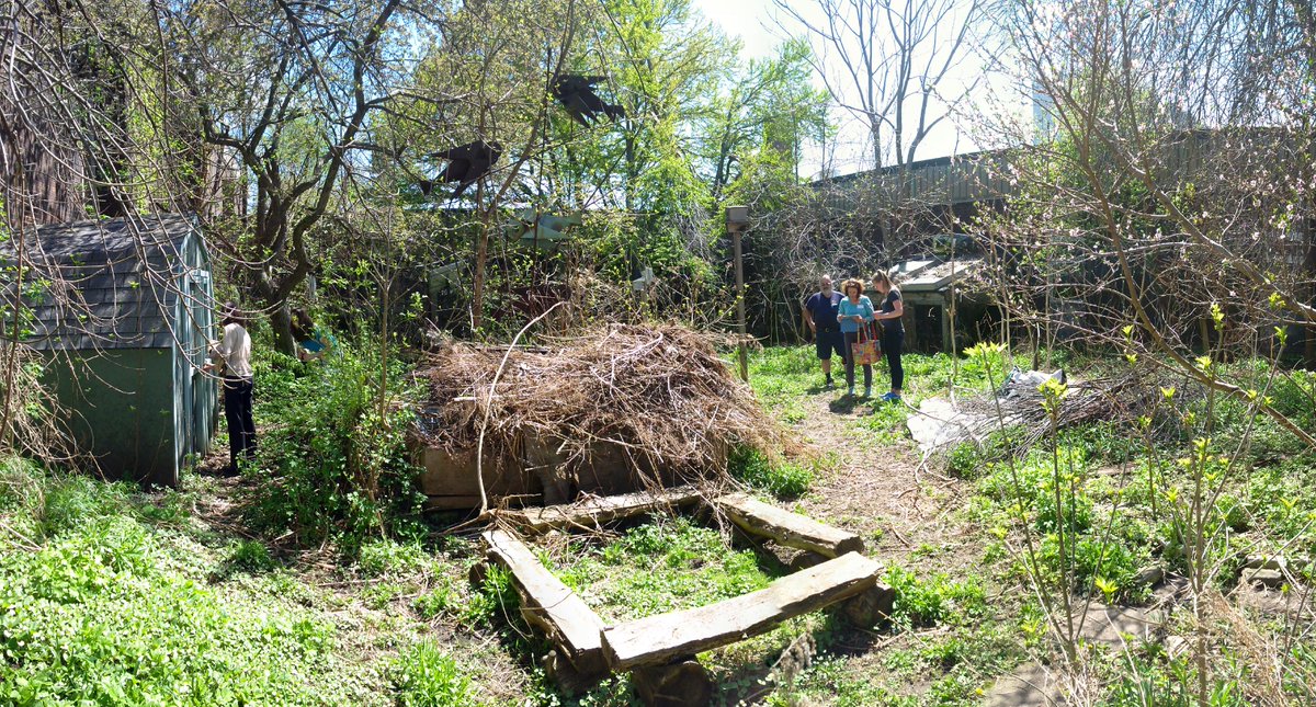 EcoSchoolsTDSB's tweet photo. #DesignConsult Working with Borden to transform their jurassic courtyard into an outdoor science classroom. @tdsb http://t.co/gz7ZQ7iSYX