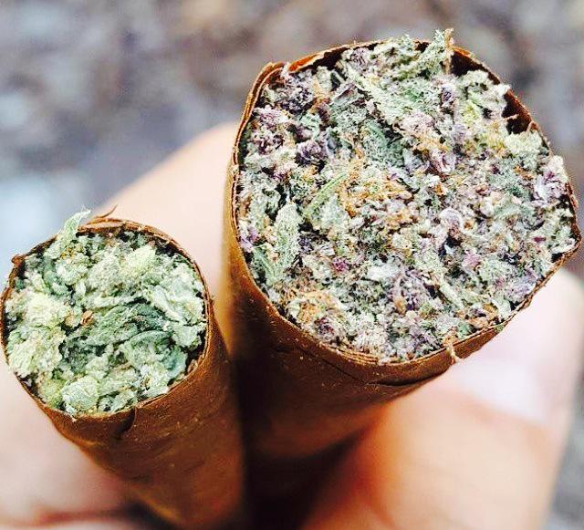 tokinthoughts's tweet image. Retweet if you need this #weed