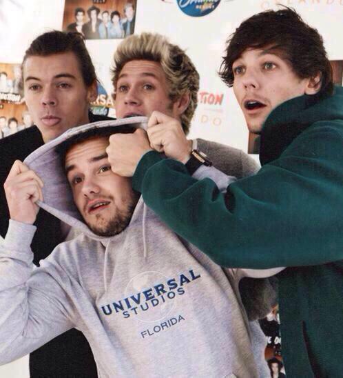 1D_Updates_BR's tweet photo. O que eu vou fazer agora? Dar todo meu amor e apoio pra quem sempre esteve comigo http://t.co/eMMVb7pdH8