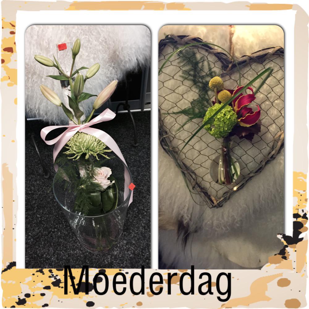 carlien van veen (@carlienvanveen) on Twitter photo 