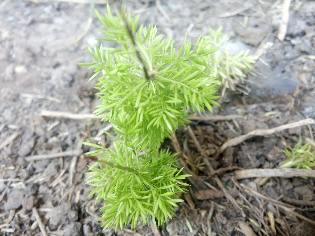 Ritesh Rathore (@beingriteshr) on Twitter photo 