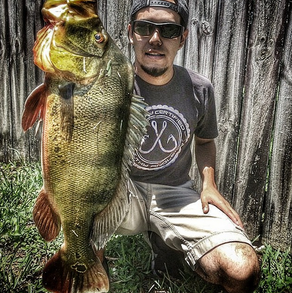 filthyanglers's tweet photo. Nice PB Peacock out of Florida. The things I would do to catch one of these. #Florida #CertifiedFilthy #PeacockBass http://t.co/m4FRtfIQeD
