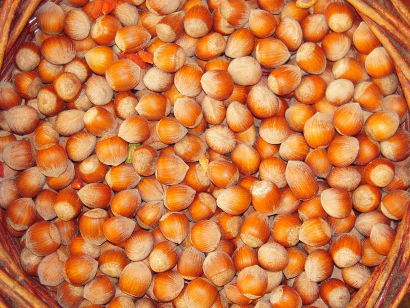 uniopagesos's tweet photo. @uniopagesos reclama una llei de llotges per garantir transparència al sector fruita seca  http://t.co/3Cvm6Jlpwj http://t.co/CllE9CdAQs