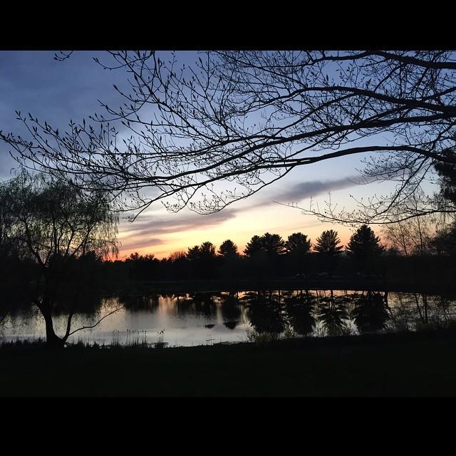 ColbyCollege's tweet photo. "Can't ask for more. #johnsonpond #colbycollege #3weeksleft #spring" (stephanieng1114) http://t.co/ryPhx8b4fN