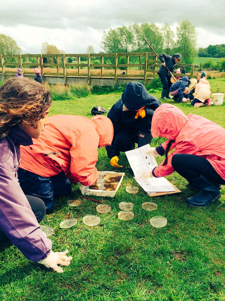 yr4res15's tweet photo. Creature hunt!! 🐚
#hudnallpark #creaturehunt http://t.co/pvxclevZpL