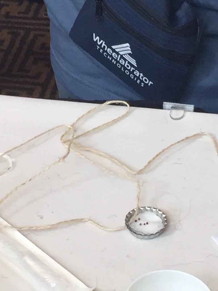 Waters4theWater's tweet photo. Our plant necklaces sprout from seed to flowers in 30 days and contain Wisconsin Fast Plants #WTISymp2015 http://t.co/CX4YHYlIPA