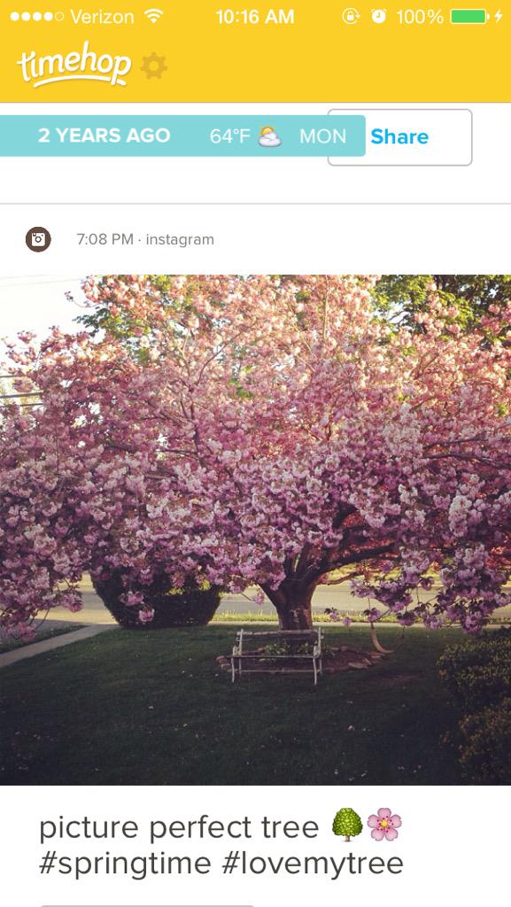 AmandaaRichh's tweet photo. #treeinbloom #lovemytree @melossii http://t.co/OfH8Bf9OJU