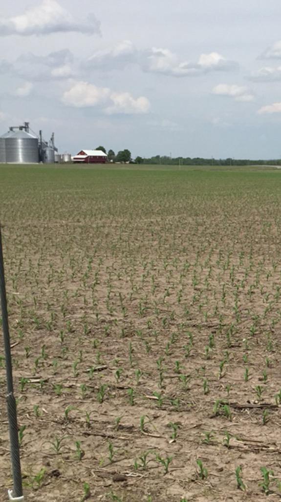 Pioneer Seeds U.S. tweet media