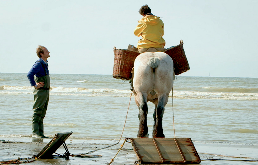 TasteHunters_'s tweet photo. We traveled to Belgium and came back with an amazing story about amazing fishermen and butcher http://t.co/WtTCYoHv8a http://t.co/M7da6KqOQk