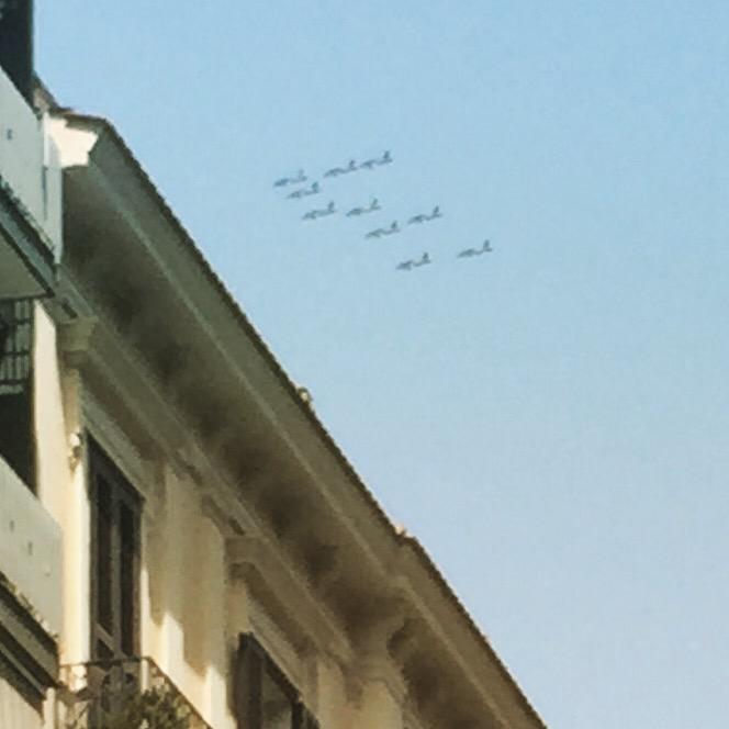 Nails_23's tweet photo. #sannicola #festapatronale #freccetricolori #orgoglio #Bari #igersbari #Peroni #peroniitaly frecce = San Nicola http://t.co/4ojcXtc1aC