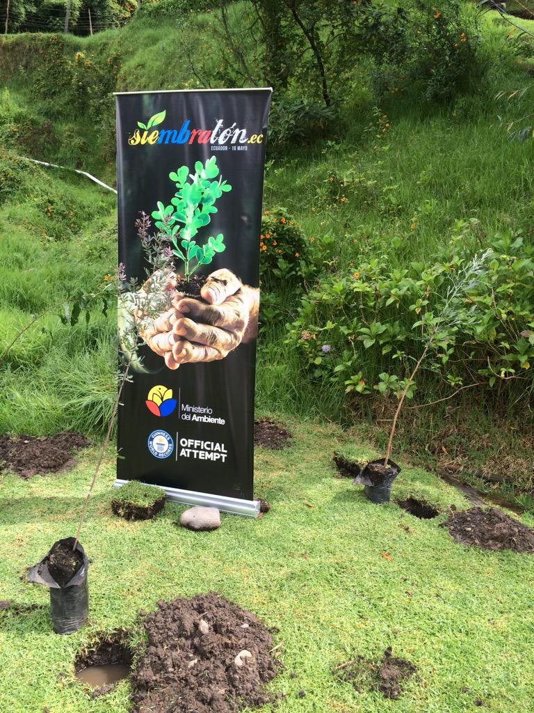 EcuadorMAE's tweet photo. #SiembratónEc Récord Guinness a mayor cantidad de personas sembrando árboles de forma simultánea en múltiples lugares http://t.co/ffngyzDS3s