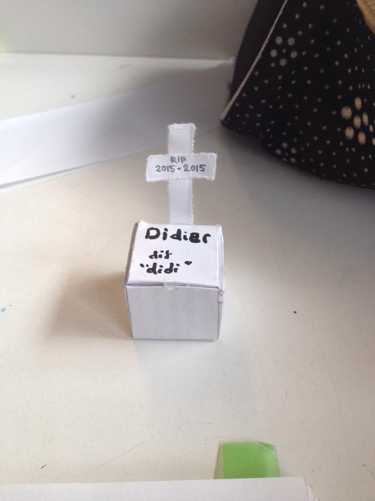 ani_ehs's tweet photo. MDRRR REGARDEZ CE QUE J'AI FAIT AVEC MA POTE J'AI TUÉ UNE FOURMI SANS FAIRE EXPRÈS putain j'suis à la fac merde http://t.co/g6CwqWuAUJ