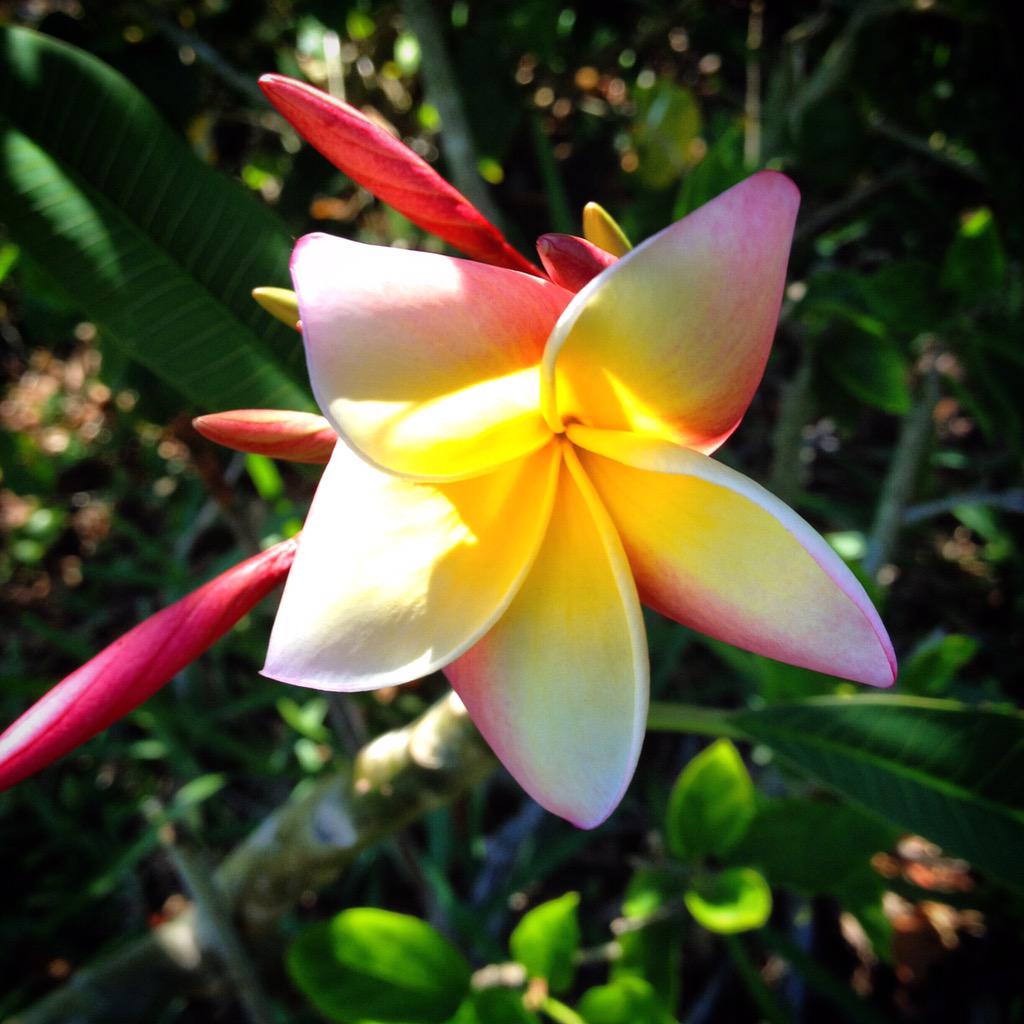 CarieIsSoVery's tweet photo. What a difference a day makes. #SoVeryPretty http://t.co/5qRvJMoMDG