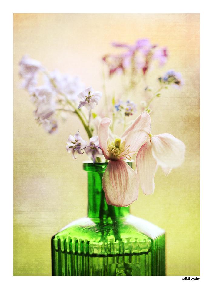 Janeh271's tweet photo. Flower edit one from today #kitchenwindowsill @Mrs_H11 @KathyKelliott http://t.co/6aQphDxwOn