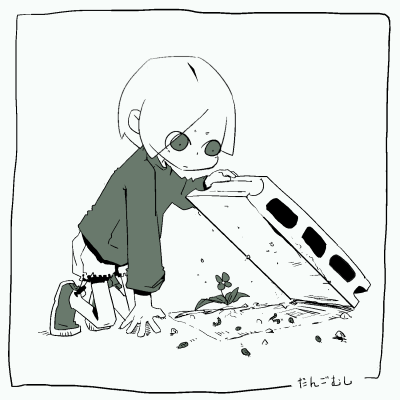 ダンゴムシかわいい。ハサミムシ格好いい。 