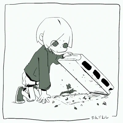 ダンゴムシかわいい。ハサミムシ格好いい。 