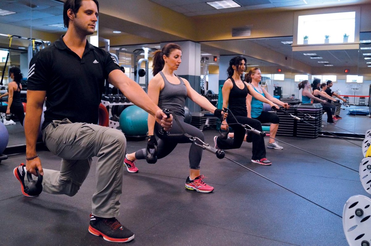 Gymbirds tweet picture