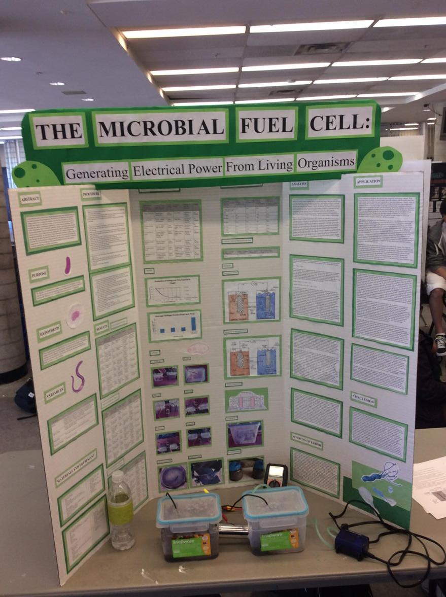 haigmainoffice's tweet image. Science Fair