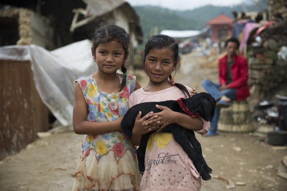 humaneworldnews's tweet photo. Touching Photos Capture Animals Who Survived #NepalEarthquake: https://t.co/AQOEaQeVos http://t.co/01OTUkty01
