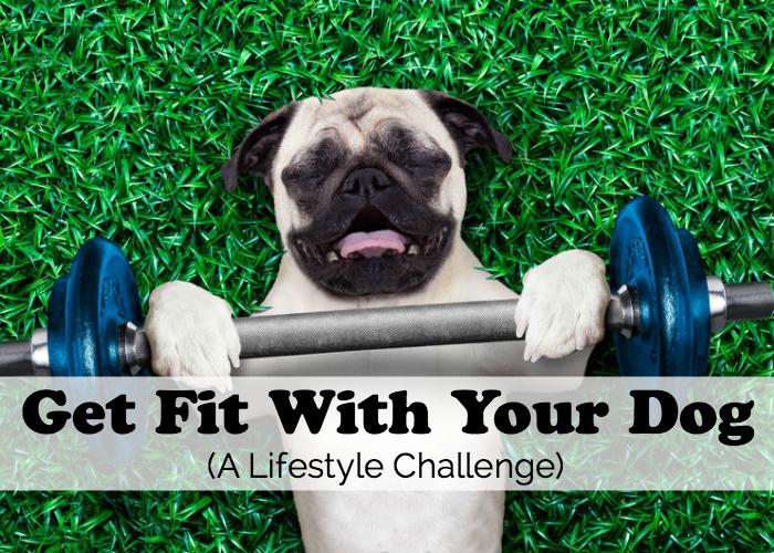 EverydayDogMom's tweet photo. NEW BLOG POST: Get Fit With Your Dog - A Lifestyle Challenge http://t.co/pbMvWYYCPa #GetHealthy #LoseWeight #TLPB http://t.co/GTDkocg1OU