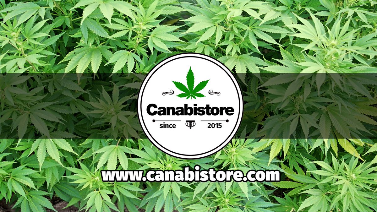 CanabiStore's tweet image. CanabiStore ///
Suscribete
canabistore.com 
Pincha Like
facebook.com/canabistore 
Síguenos...