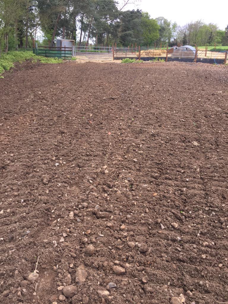 EOCFarms's tweet photo. Trying to get a nice seed bed so we can get a good grass paddock for sheep next year! #SheepPaddock #StudentPractical http://t.co/QFmyaOsx5D