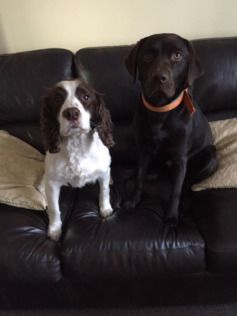 suz_millar's tweet photo. @Claire_D25 Seems everyone (except you)is excited for the game #BarcaBayern #LookWhatYourMissing http://t.co/cdFTliQ3gS
