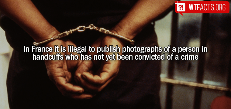 WTFactsOrg's tweet image. Read more on wtfacts.org/udg2I